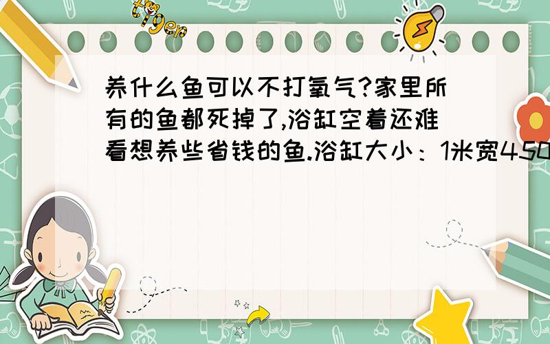 养什么鱼可以不打氧气?家里所有的鱼都死掉了,浴缸空着还难看想养些省钱的鱼.浴缸大小：1米宽450MM高400进深 最好不用打氧气也不用加热的 因为好费电也怕停电全挂了~