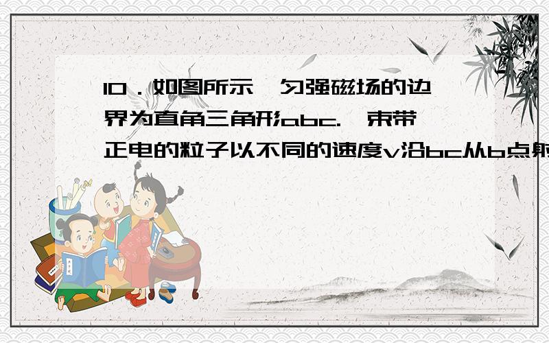 10．如图所示,匀强磁场的边界为直角三角形abc.一束带正电的粒子以不同的速度v沿bc从b点射入磁场,不计粒子的重力,关于粒子在磁场中的运动情况以下说法正确的是A．入射速率越大的,运动时