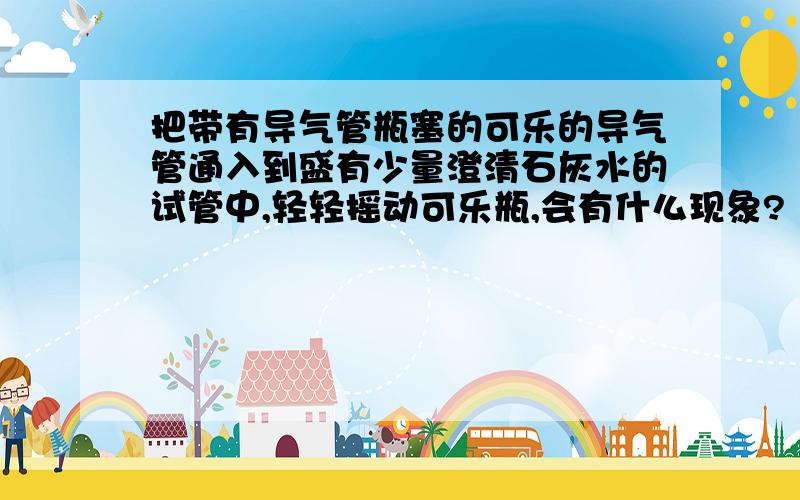 把带有导气管瓶塞的可乐的导气管通入到盛有少量澄清石灰水的试管中,轻轻摇动可乐瓶,会有什么现象?