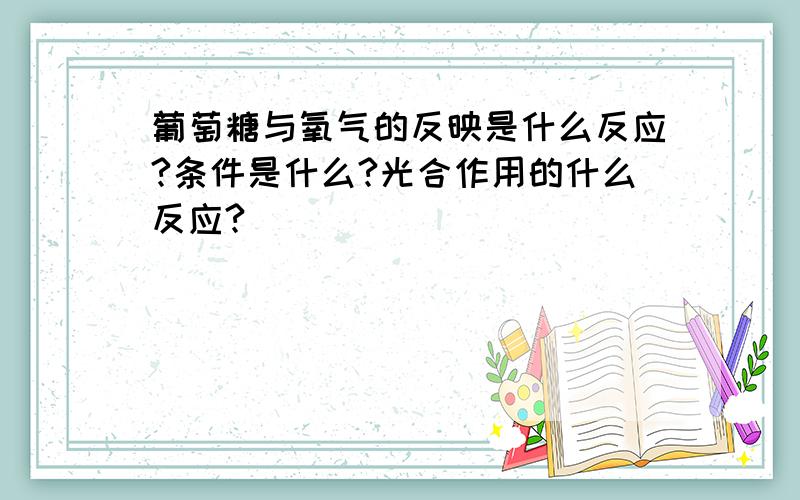 葡萄糖与氧气的反映是什么反应?条件是什么?光合作用的什么反应?