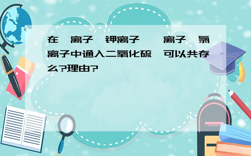 在钡离子,钾离子,溴离子,氯离子中通入二氧化硫,可以共存么?理由?