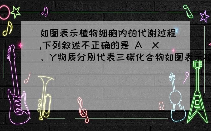 如图表示植物细胞内的代谢过程,下列叙述不正确的是 A．X、Y物质分别代表三碳化合物如图表示植物细胞内的代谢过程,下列叙述不正确的是A．X、Y物质分别代表三碳化合物和丙酮酸B．①④过