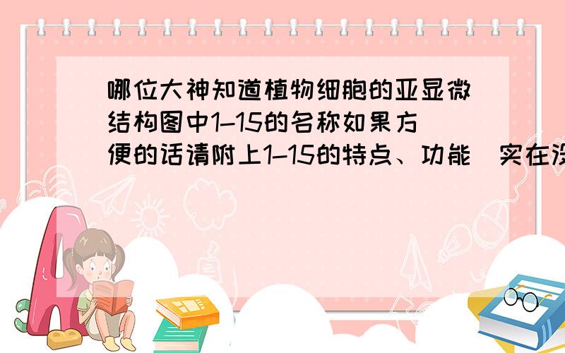 哪位大神知道植物细胞的亚显微结构图中1-15的名称如果方便的话请附上1-15的特点、功能（实在没有也不强求~