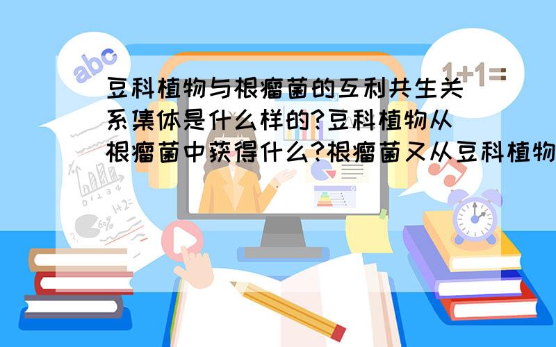 豆科植物与根瘤菌的互利共生关系集体是什么样的?豆科植物从根瘤菌中获得什么?根瘤菌又从豆科植物中获得什么?