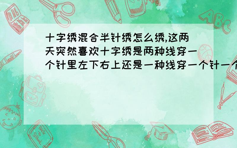 十字绣混合半针绣怎么绣,这两天突然喜欢十字绣是两种线穿一个针里左下右上还是一种线穿一个针一个左下右上,一个右下左上?别复制一堆有的没的,说明白就行