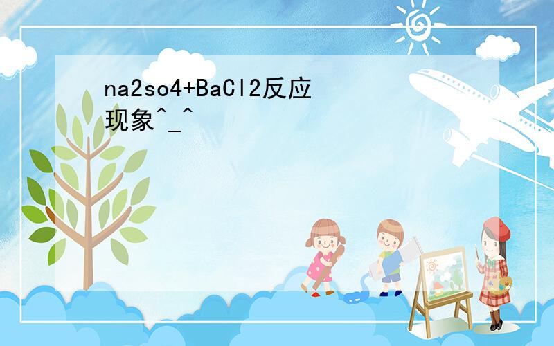 na2so4+BaCl2反应现象^_^