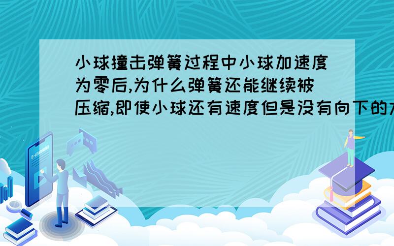 小球撞击弹簧过程中小球加速度为零后,为什么弹簧还能继续被压缩,即使小球还有速度但是没有向下的力了,弹簧怎么会继续被压缩?意思是不能光看力被平衡，要逐个力分析？