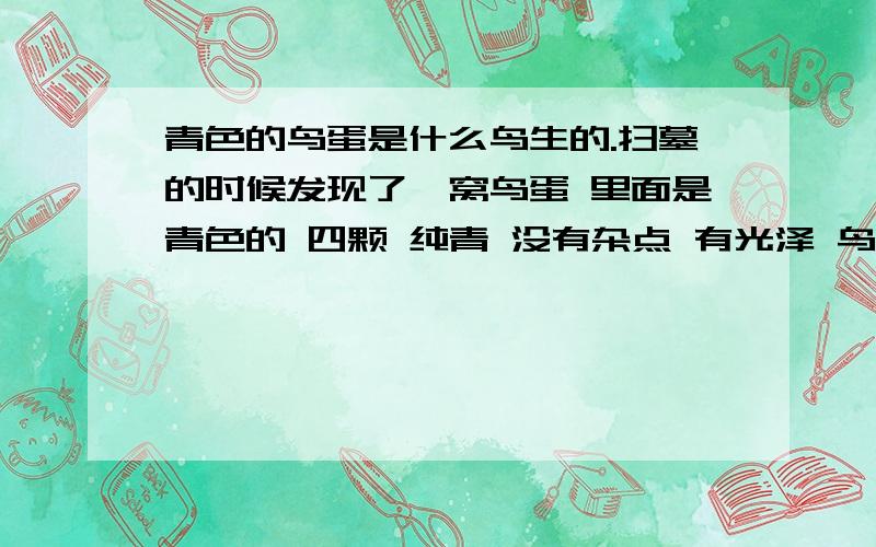 青色的鸟蛋是什么鸟生的.扫墓的时候发现了一窝鸟蛋 里面是青色的 四颗 纯青 没有杂点 有光泽 鸟蛋的头还有黑色一圈 请问这是什么鸟蛋 还有我现在是放在灯下面孵,要几度灯光能孵出来呢