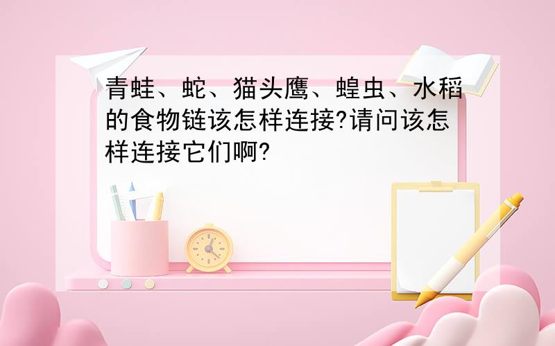 青蛙、蛇、猫头鹰、蝗虫、水稻的食物链该怎样连接?请问该怎样连接它们啊?