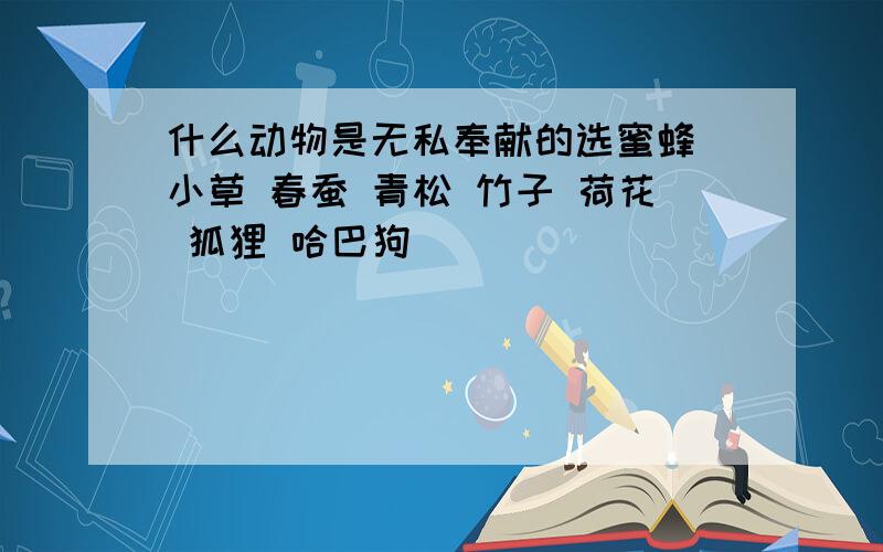 什么动物是无私奉献的选蜜蜂 小草 春蚕 青松 竹子 荷花 狐狸 哈巴狗