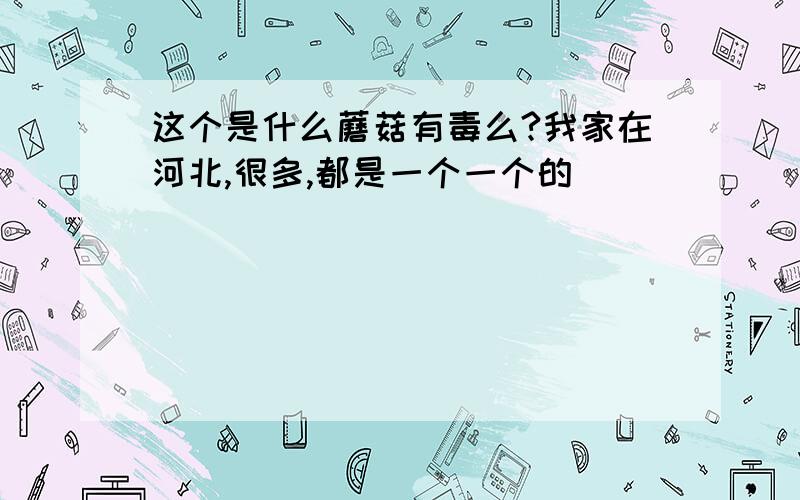 这个是什么蘑菇有毒么?我家在河北,很多,都是一个一个的