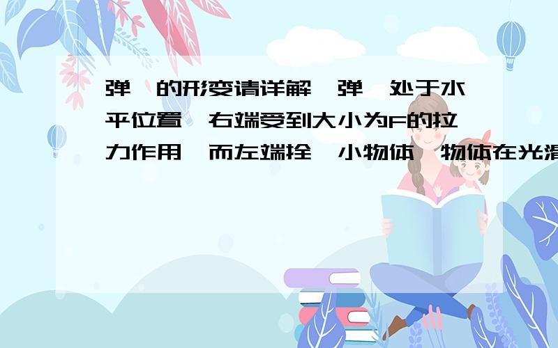 弹簧的形变请详解,弹簧处于水平位置,右端受到大小为F的拉力作用,而左端拴一小物体,物体在光滑的桌面上滑动,弹簧有形变吗?