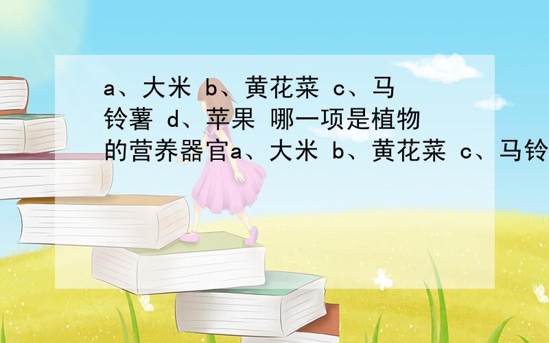 a、大米 b、黄花菜 c、马铃薯 d、苹果 哪一项是植物的营养器官a、大米 b、黄花菜 c、马铃薯 d、苹果 哪一项是植物的营养器官?（ ）