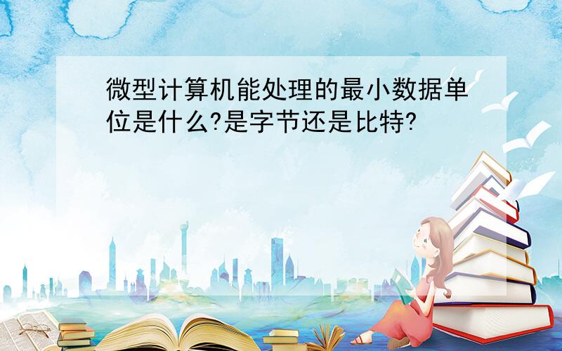 微型计算机能处理的最小数据单位是什么?是字节还是比特?