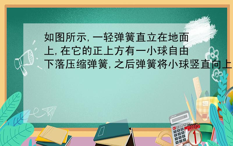 如图所示,一轻弹簧直立在地面上,在它的正上方有一小球自由下落压缩弹簧,之后弹簧将小球竖直向上弹出.在这一过程中,弹簧的弹性势能的变化情况是