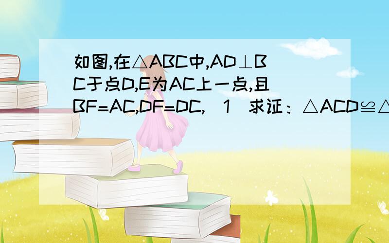 如图,在△ABC中,AD⊥BC于点D,E为AC上一点,且BF=AC,DF=DC,(1)求证：△ACD≌△BDF （2）求证：BE⊥AC