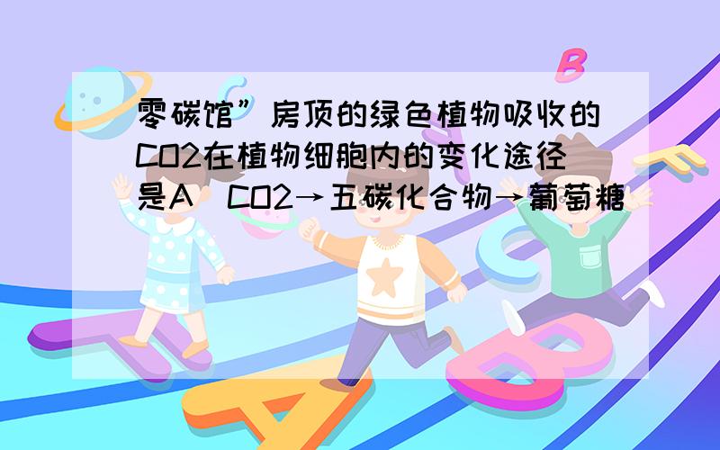 零碳馆”房顶的绿色植物吸收的CO2在植物细胞内的变化途径是A．CO2→五碳化合物→葡萄糖B．CO2→叶绿素→五碳化合物→葡萄糖C．CO2→三碳化合物→葡萄糖D．CO2→叶绿素→三碳化合物