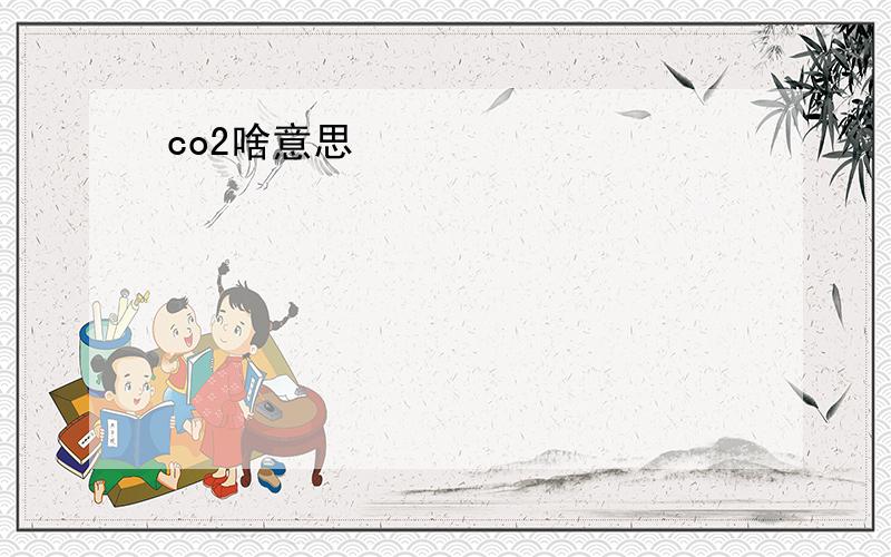 co2啥意思