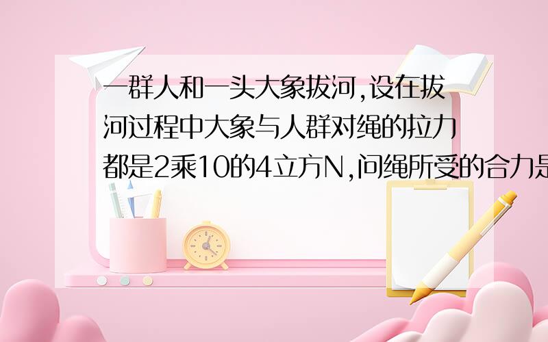 一群人和一头大象拔河,设在拔河过程中大象与人群对绳的拉力都是2乘10的4立方N,问绳所受的合力是多少?