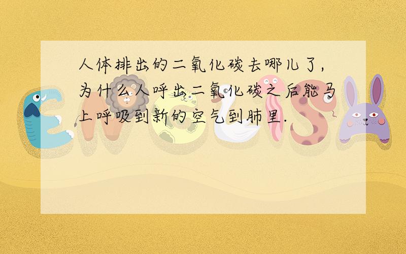 人体排出的二氧化碳去哪儿了,为什么人呼出二氧化碳之后能马上呼吸到新的空气到肺里.