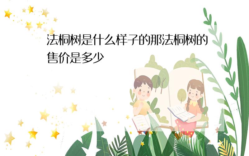 法桐树是什么样子的那法桐树的售价是多少