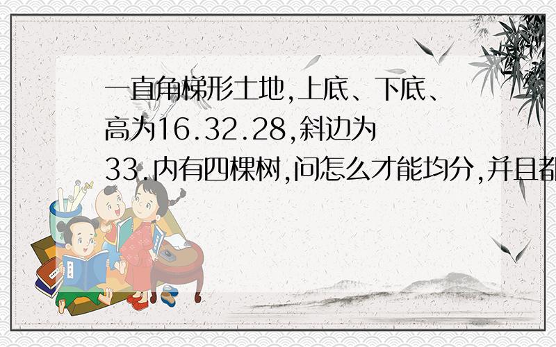 一直角梯形土地,上底、下底、高为16.32.28,斜边为33.内有四棵树,问怎么才能均分,并且都有一棵树?四棵树的位置如图