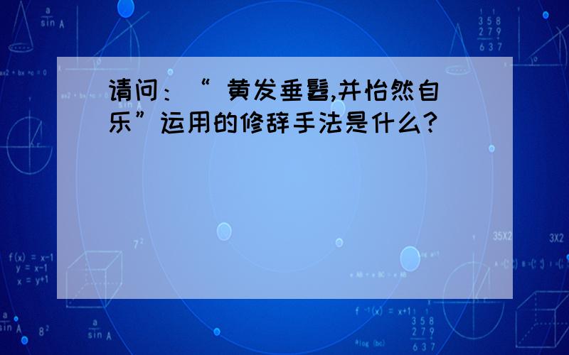 请问：“ 黄发垂髫,并怡然自乐”运用的修辞手法是什么?