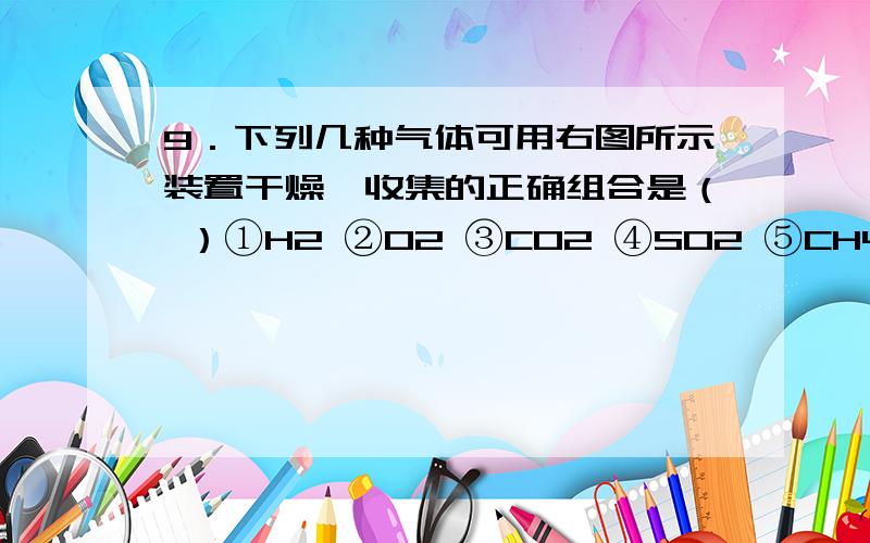 9．下列几种气体可用右图所示装置干燥、收集的正确组合是（ ）①H2 ②O2 ③CO2 ④SO2 ⑤CH4 ⑥NH3A．①②③ B．②③⑤C．③④⑥ D．①⑤⑥