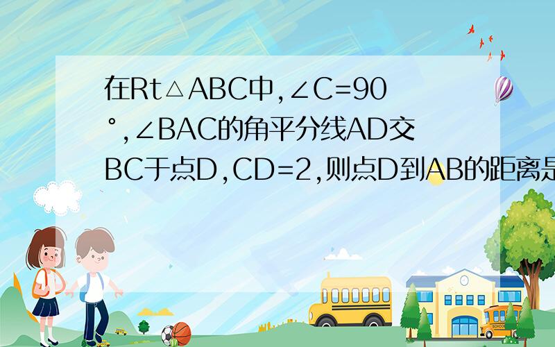 在Rt△ABC中,∠C=90°,∠BAC的角平分线AD交BC于点D,CD=2,则点D到AB的距离是?