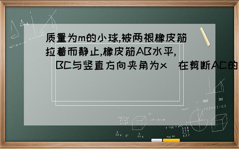 质量为m的小球,被两根橡皮筋拉着而静止,橡皮筋AB水平,（BC与竖直方向夹角为x）在剪断AC的瞬间,BC的...质量为m的小球,被两根橡皮筋拉着而静止,橡皮筋AB水平,（BC与竖直方向夹角为x）在剪断AC