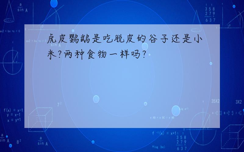 虎皮鹦鹉是吃脱皮的谷子还是小米?两种食物一样吗?