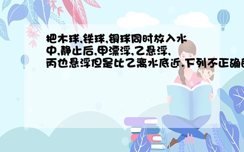 把木球,铁球,铜球同时放入水中,静止后,甲漂浮,乙悬浮,丙也悬浮但是比乙离水底近.下列不正确的是（）A.甲球一定是木球B.乙球一定是空心的c.丙球一定是空心的D.丙球可能是空心的,也可能是