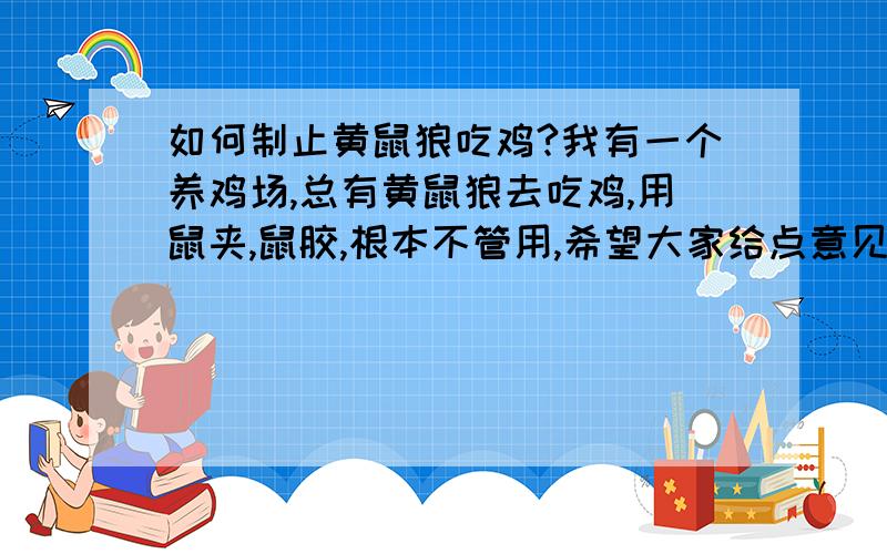 如何制止黄鼠狼吃鸡?我有一个养鸡场,总有黄鼠狼去吃鸡,用鼠夹,鼠胶,根本不管用,希望大家给点意见我养的是山鸡,看见狗害怕,再说十多条狗也没能阻止啊?黄鼠狼每天最少要吃10个鸡,拦鸡铁