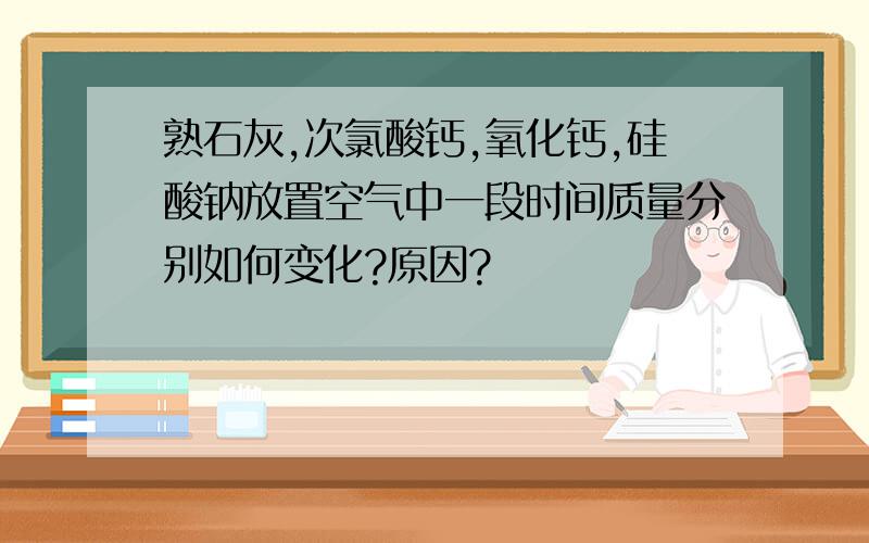 熟石灰,次氯酸钙,氧化钙,硅酸钠放置空气中一段时间质量分别如何变化?原因?