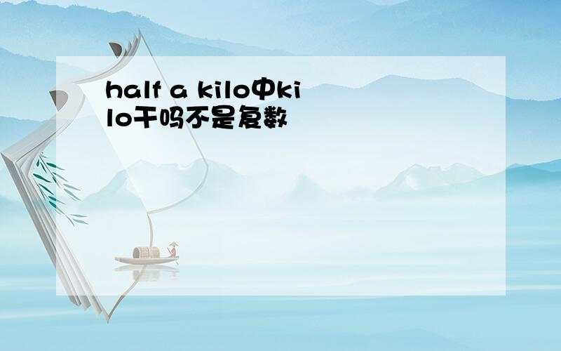 half a kilo中kilo干吗不是复数