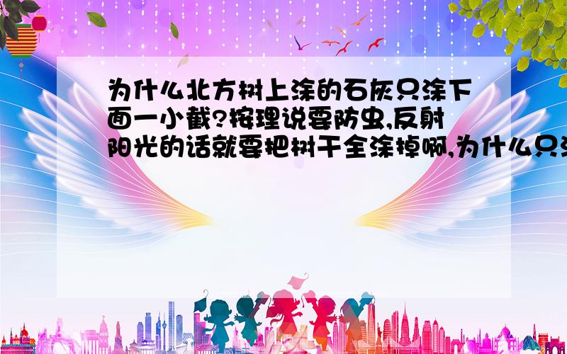 为什么北方树上涂的石灰只涂下面一小截?按理说要防虫,反射阳光的话就要把树干全涂掉啊,为什么只涂下面?