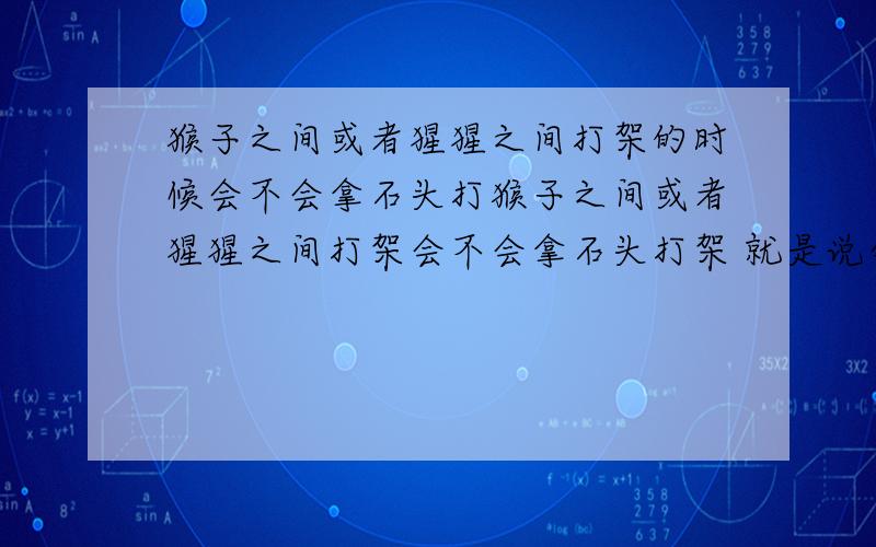 猴子之间或者猩猩之间打架的时候会不会拿石头打猴子之间或者猩猩之间打架会不会拿石头打架 就是说会不会使用工具来着 还有会用火吗