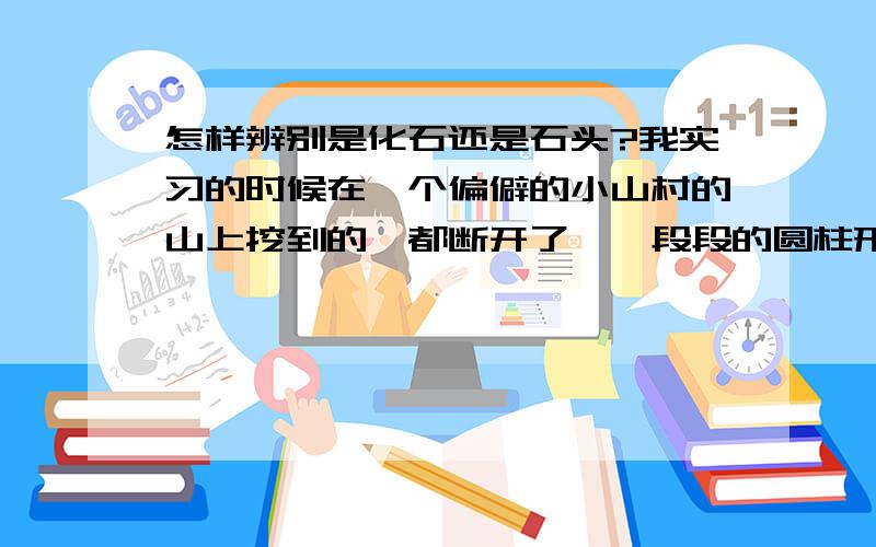 怎样辨别是化石还是石头?我实习的时候在一个偏僻的小山村的山上挖到的,都断开了,一段段的圆柱形组成,大概2到3厘米宽,圆柱的中间还有白色的晶体,就是我们骨头里有骨髓一样,我当时和同