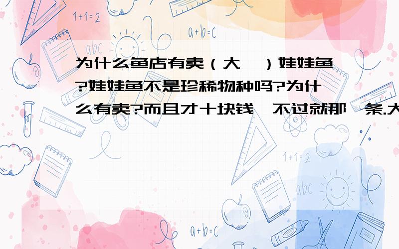 为什么鱼店有卖（大鲵）娃娃鱼?娃娃鱼不是珍稀物种吗?为什么有卖?而且才十块钱,不过就那一条.大概10cm长,尾巴很长,尾巴后面不是尖的是圆的