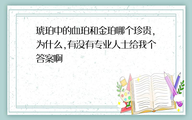 琥珀中的血珀和金珀哪个珍贵,为什么,有没有专业人士给我个答案啊