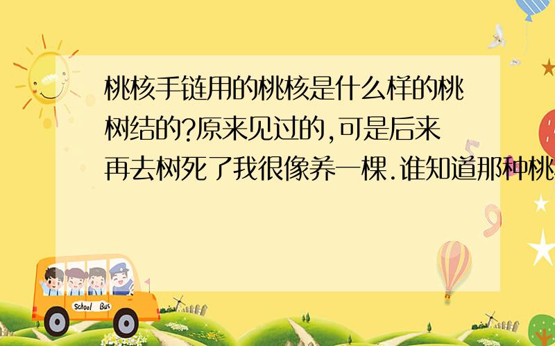 桃核手链用的桃核是什么样的桃树结的?原来见过的,可是后来再去树死了我很像养一棵.谁知道那种桃树是什么样的,叫什么名字?结的桃核是近似球形的,很硬,就是常见的那种桃核手链用的桃核