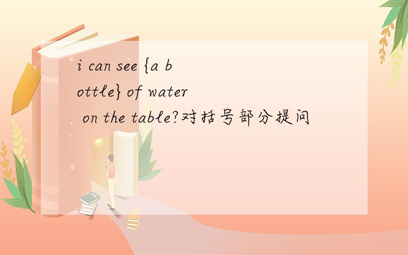 i can see {a bottle}of water on the table?对括号部分提问