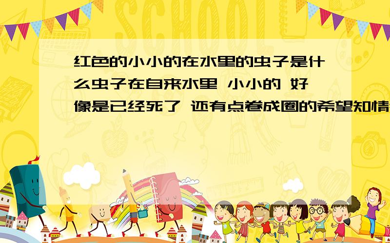 红色的小小的在水里的虫子是什么虫子在自来水里 小小的 好像是已经死了 还有点卷成圈的希望知情者尽快回答下 ,我们学校的水里都是这样的情况