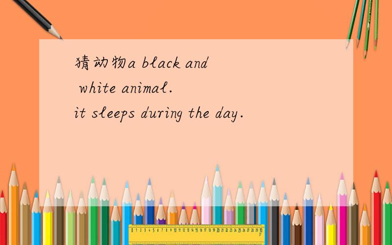 猜动物a black and white animal.it sleeps during the day.