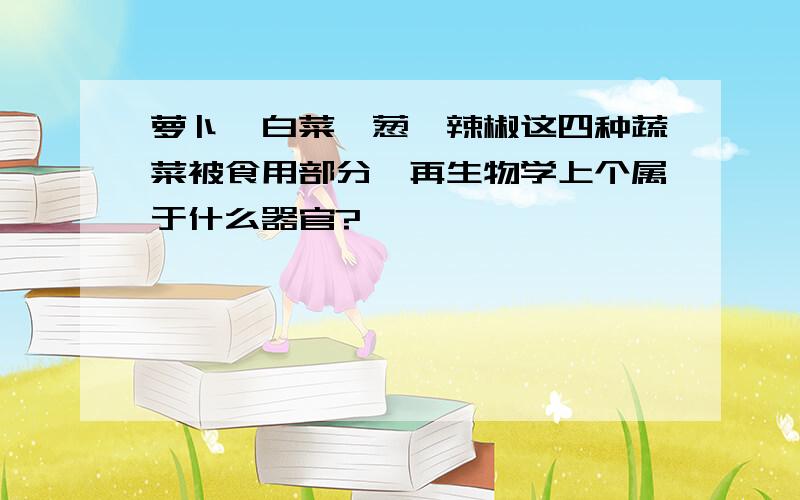 萝卜、白菜、葱、辣椒这四种蔬菜被食用部分,再生物学上个属于什么器官?