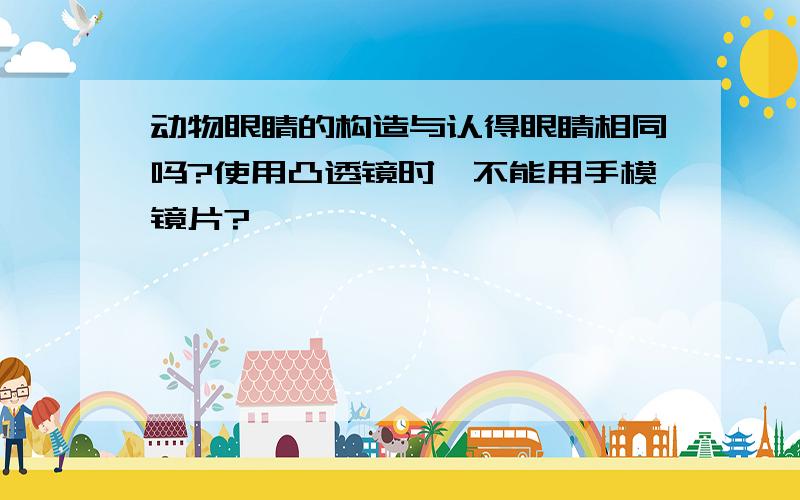 动物眼睛的构造与认得眼睛相同吗?使用凸透镜时,不能用手模镜片?