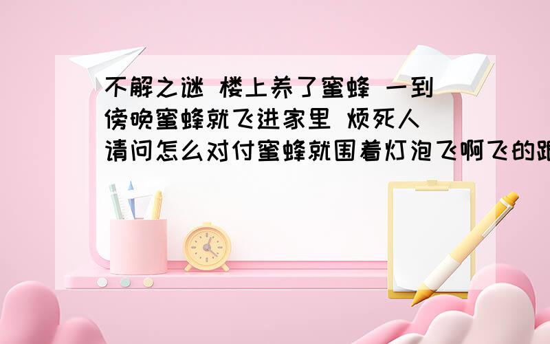 不解之谜 楼上养了蜜蜂 一到傍晚蜜蜂就飞进家里 烦死人 请问怎么对付蜜蜂就围着灯泡飞啊飞的跟苍蝇一样烦人.不过有个这样的现象,每天傍晚蜜蜂开始往家里飞,我们人就出去散步了,回到