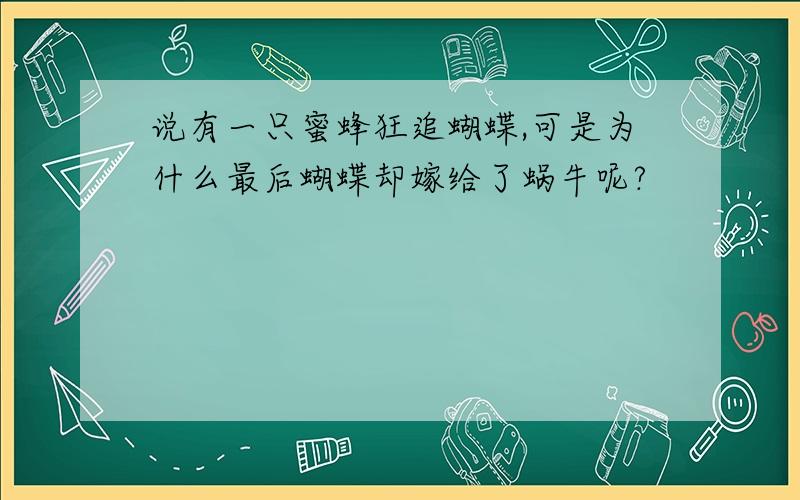 说有一只蜜蜂狂追蝴蝶,可是为什么最后蝴蝶却嫁给了蜗牛呢?