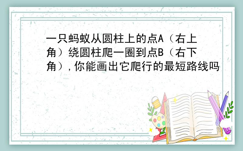 一只蚂蚁从圆柱上的点A（右上角）绕圆柱爬一圈到点B（右下角）,你能画出它爬行的最短路线吗