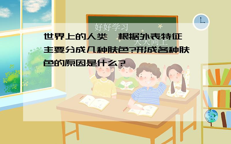 世界上的人类,根据外表特征,主要分成几种肤色?形成各种肤色的原因是什么?